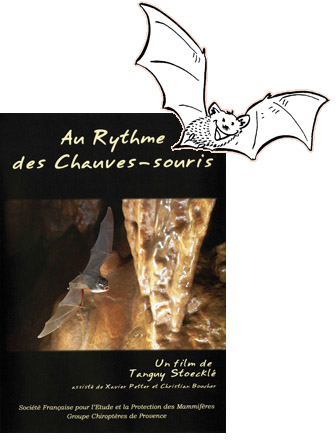 pochette-chauves-souris