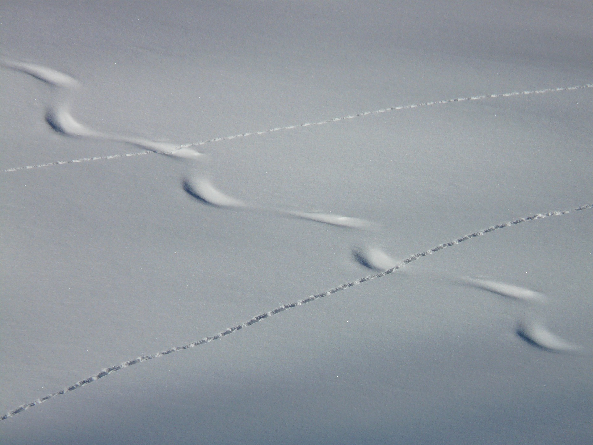 Pistes enneigées