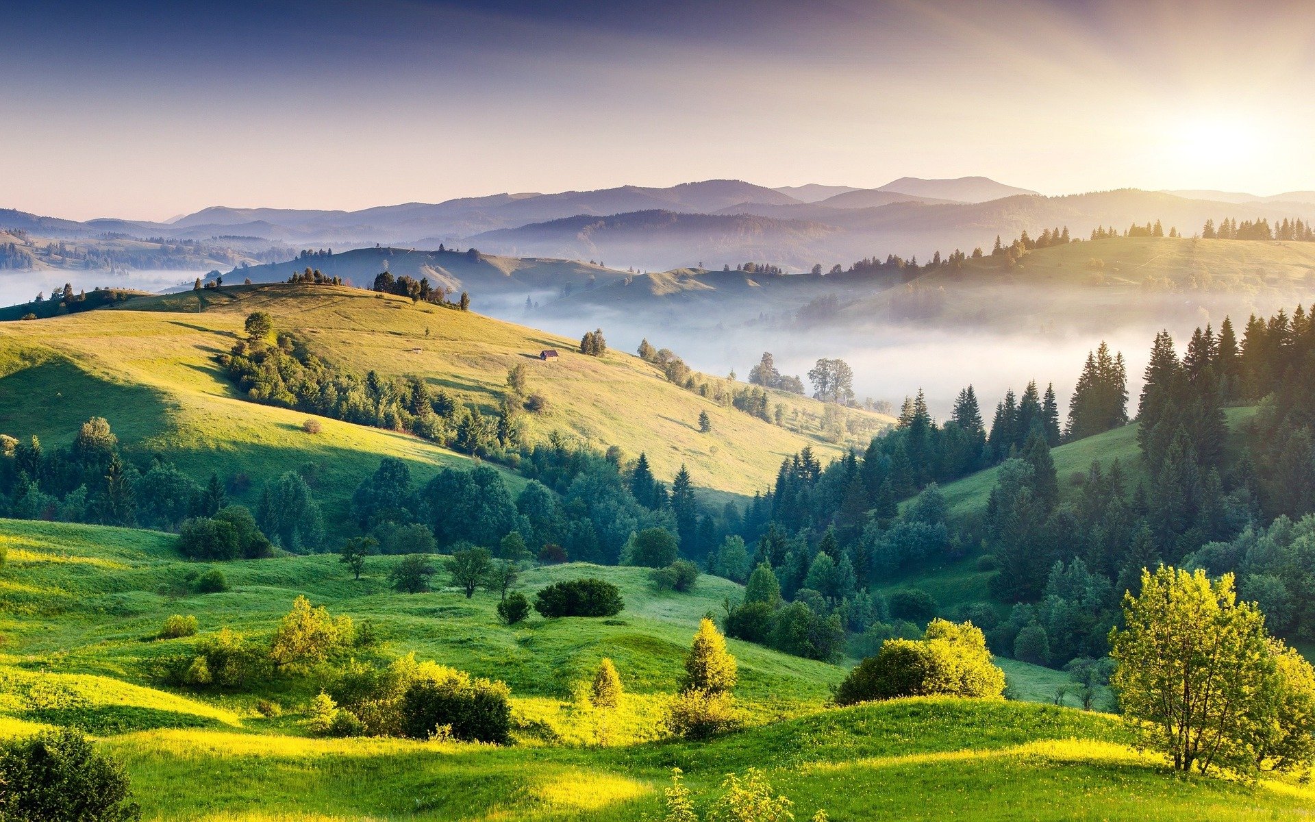 Paysage à la loupe