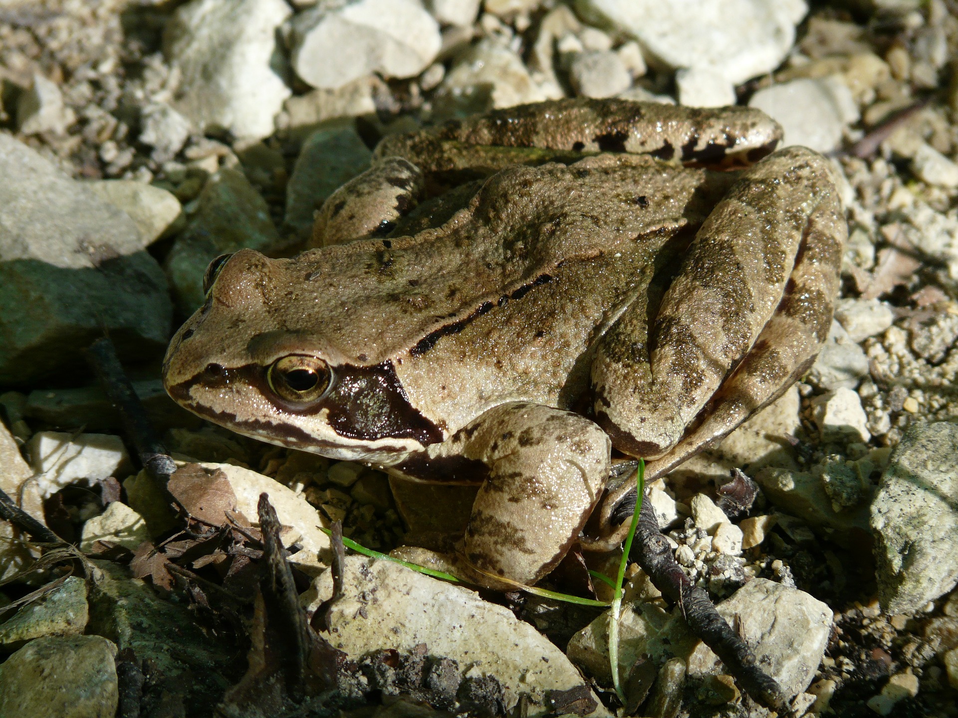 Les supers-pouvoirs de la nature