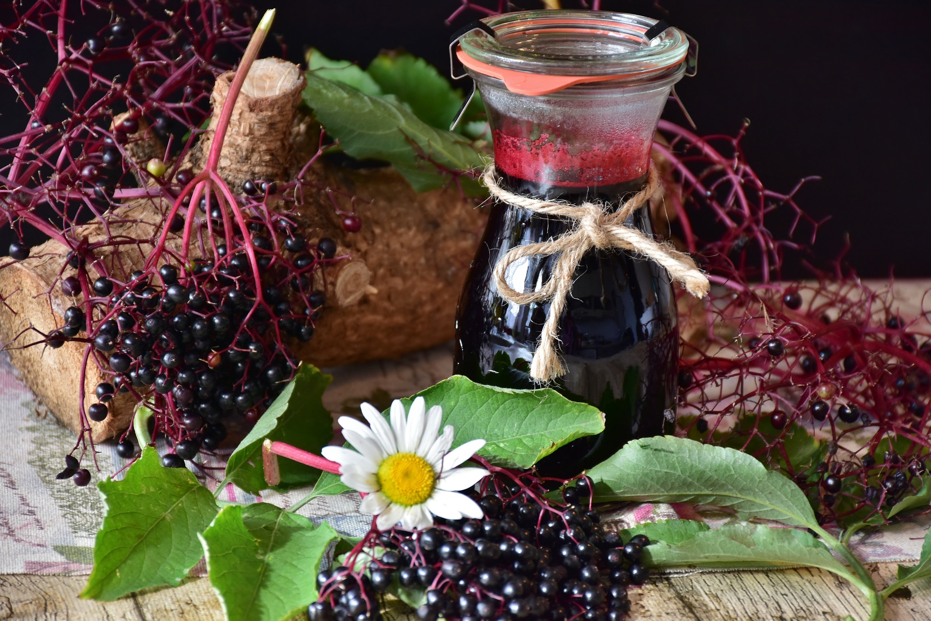 Sureau, sirop, sifflot !