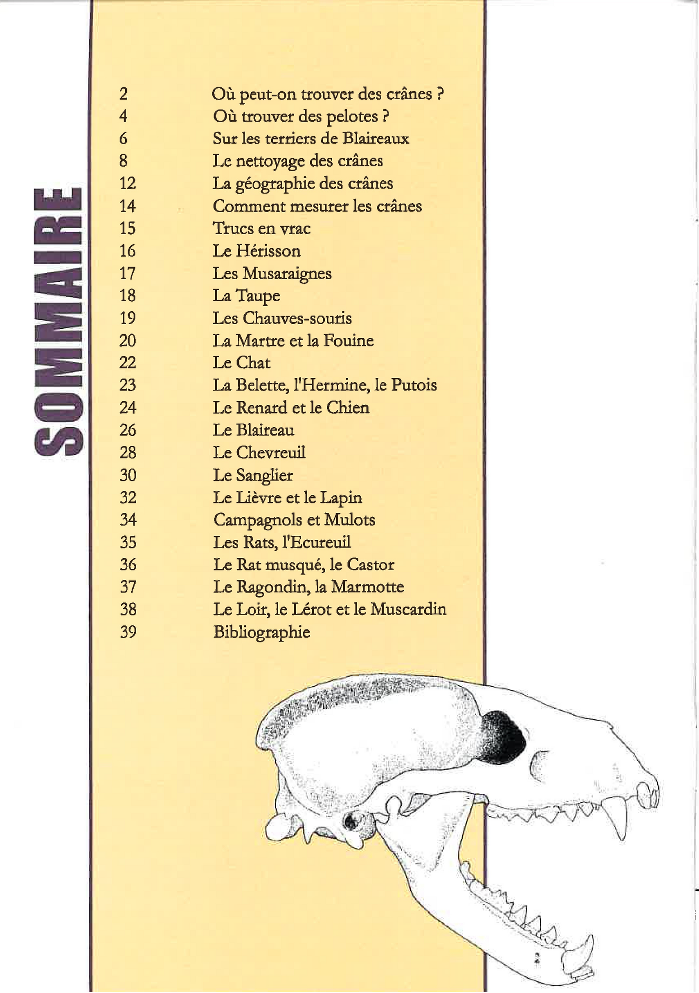 CT5 - guide des crânes de mammifères