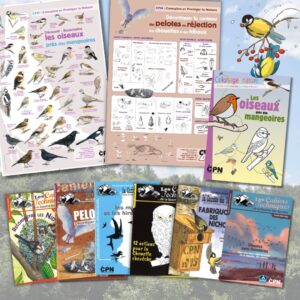 Collection Les oiseaux