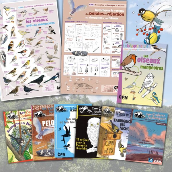 Collection Les oiseaux