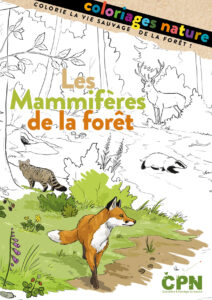 Coloriage nature « Les mammifères de la forêt »