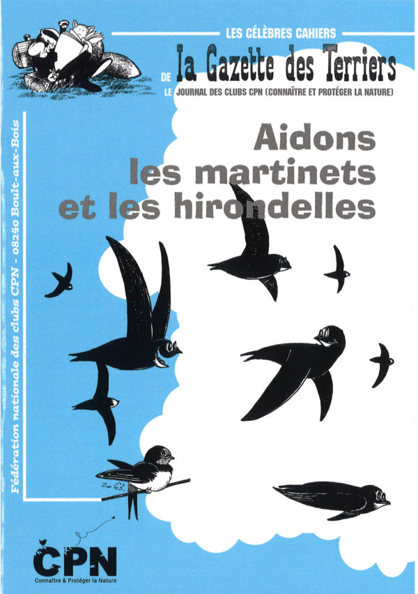 Aidons les martinets et hirondelles