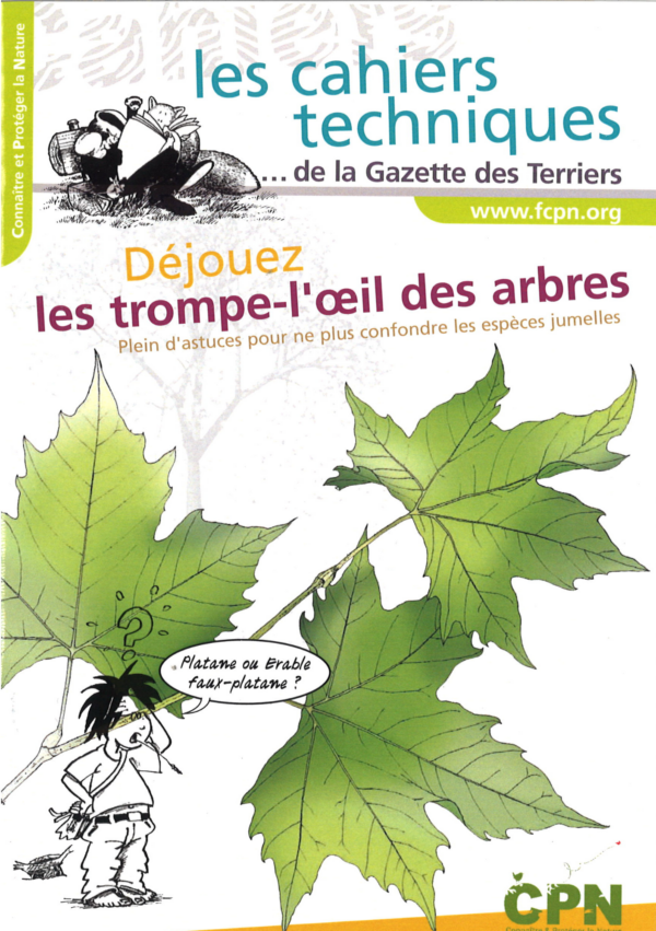 Déjouez les trompe l’œil des arbres