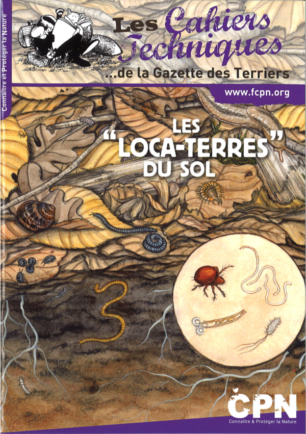 Les « Loca-terres » du sol