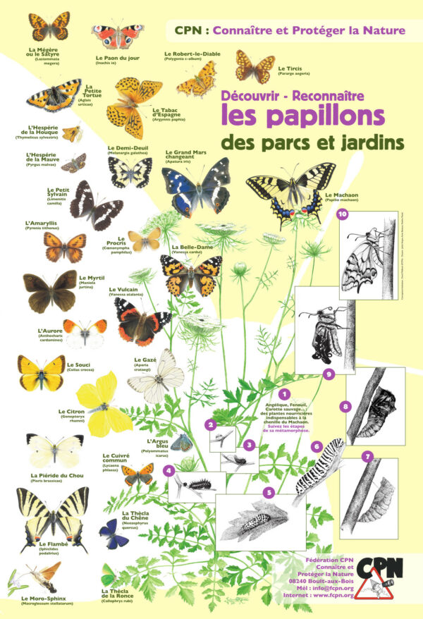 Affiche CPN « Les papillons des jardins »