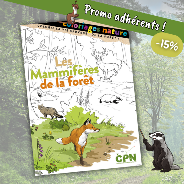 Coloriage nature « Les mammifères de la forêt »