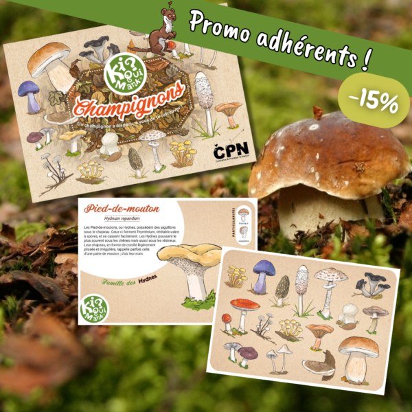 Kiquimank champignons PROMO