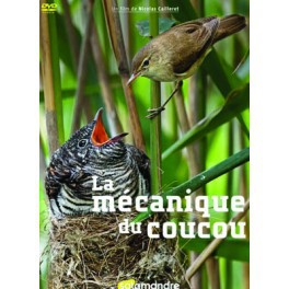 La mécanique du Coucou