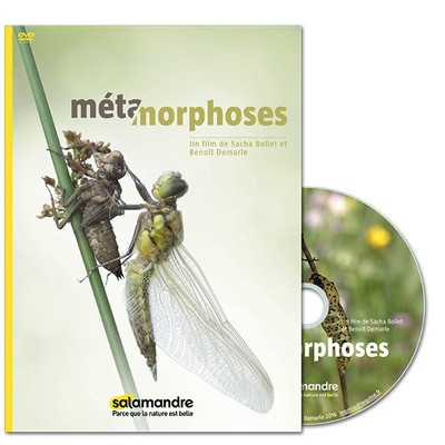 Métamorphoses