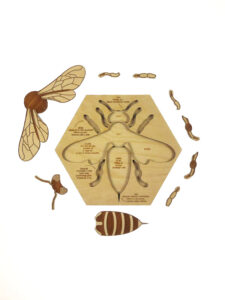 Puzzle abeille