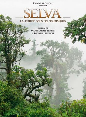 Selva La Forêt sous les Tropiques