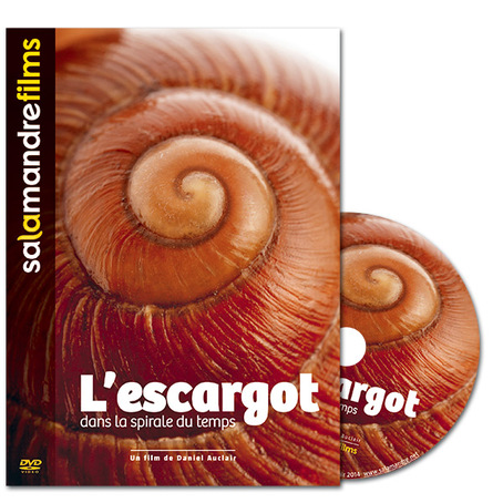 L'escargot dans la spirale du temps