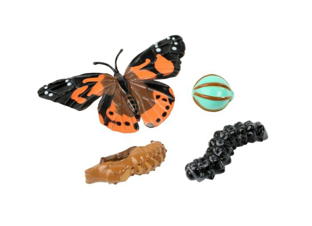 Figurines cycle de vie papillon