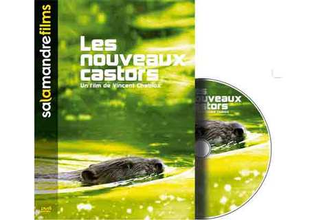 Les nouveaux castors