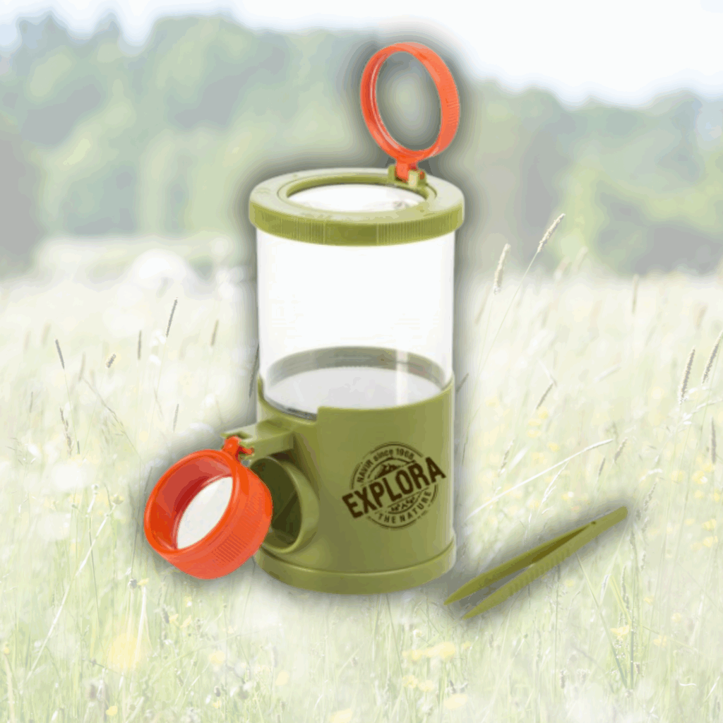 Eduplay Grande Boîte Avec Loupe – Loupe X4 Intégrée, Araignée Plastique Incluse, Grossissement Double, Exploration Nature