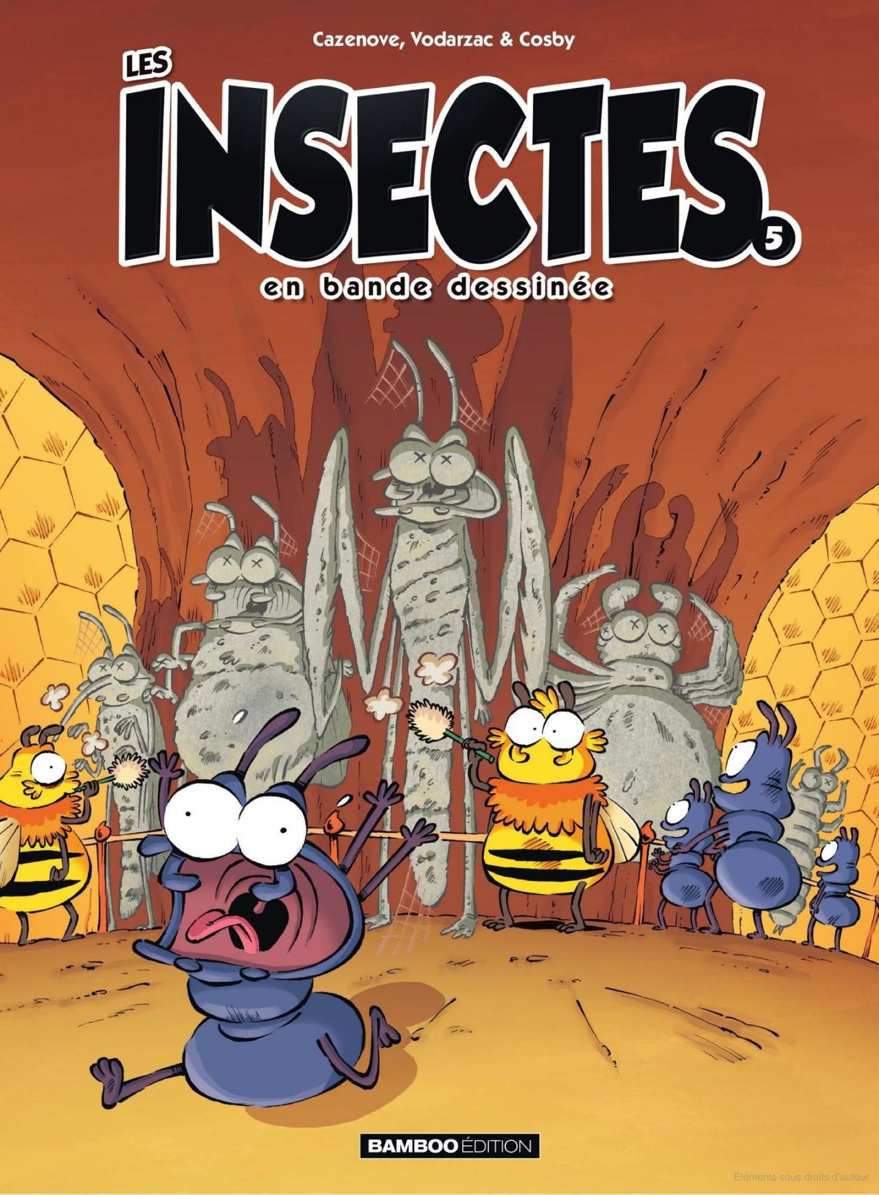 BD Les insectes