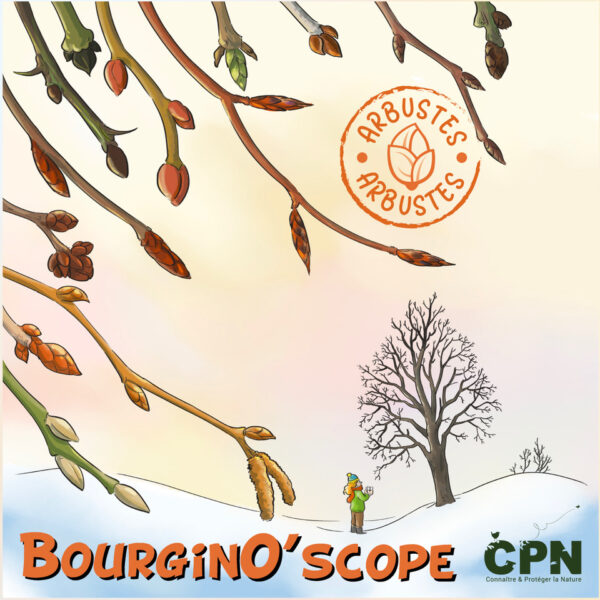 BourginO'scope « Arbustes »