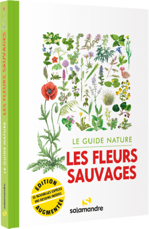 Le guide nature: les fleurs sauvages