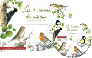 Les 4 saisons des oiseaux