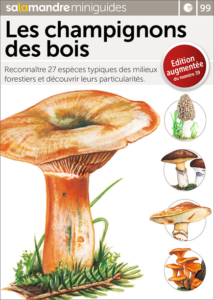 Les champignons des bois