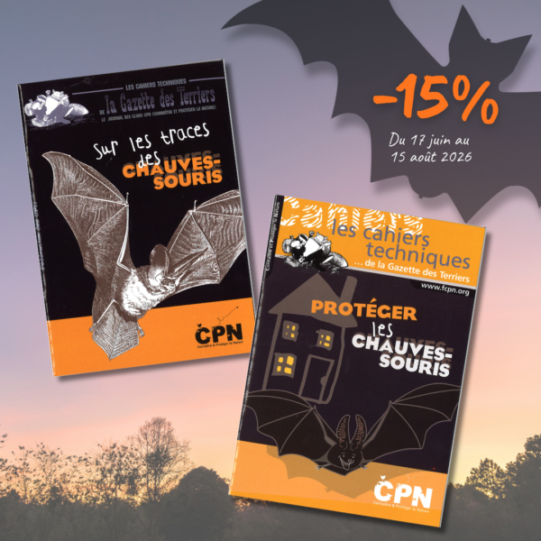 Promo lot chiro