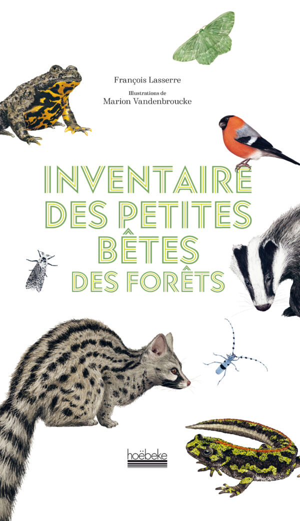 Inventaire des petites bêtes de la forêt