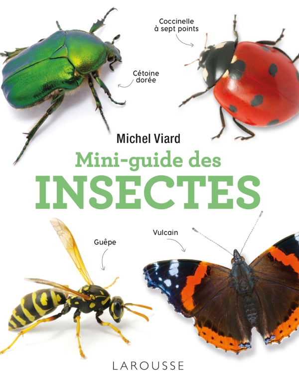 Mini guide des insectes
