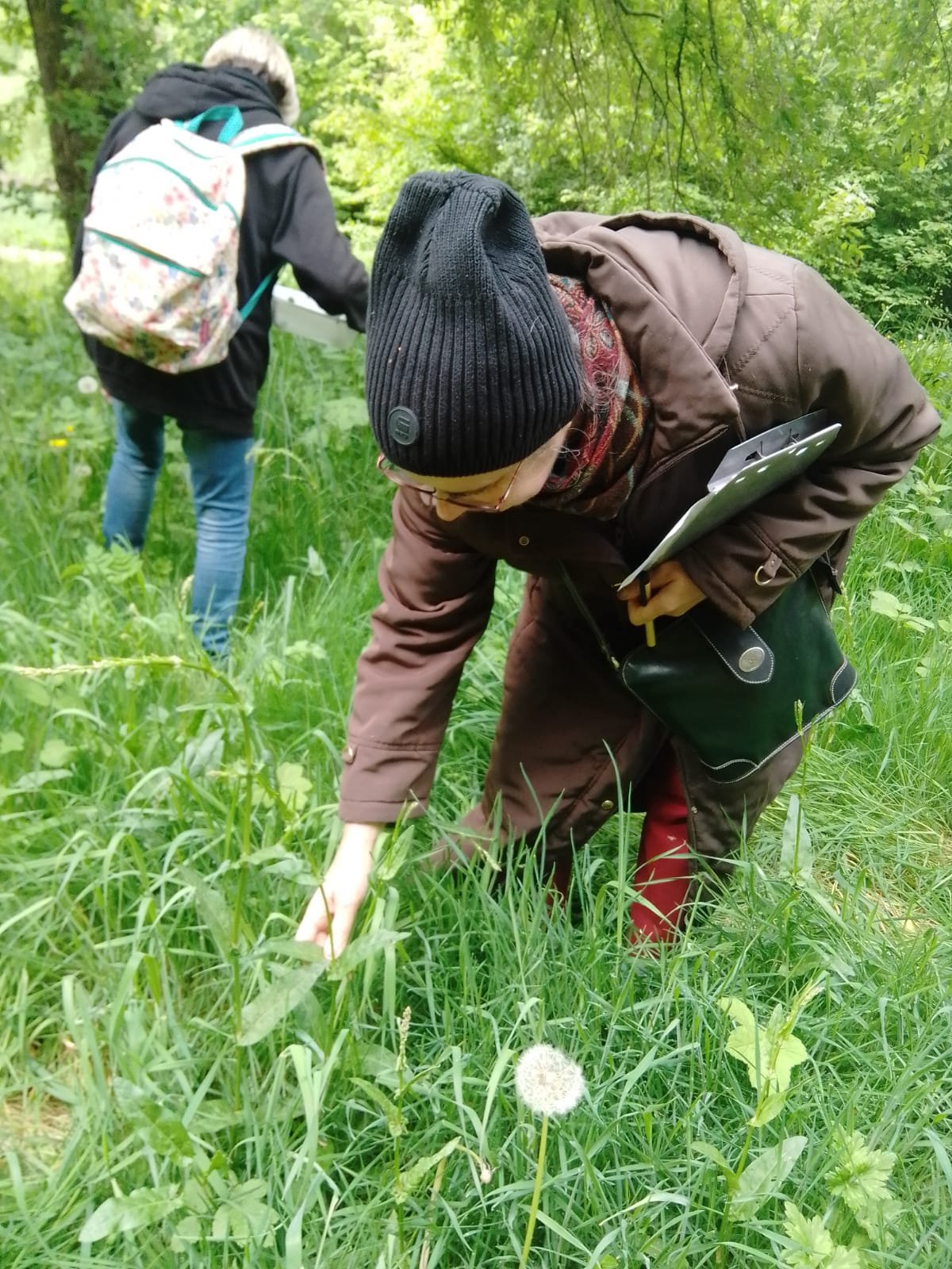 27 Un herbier pour la vie