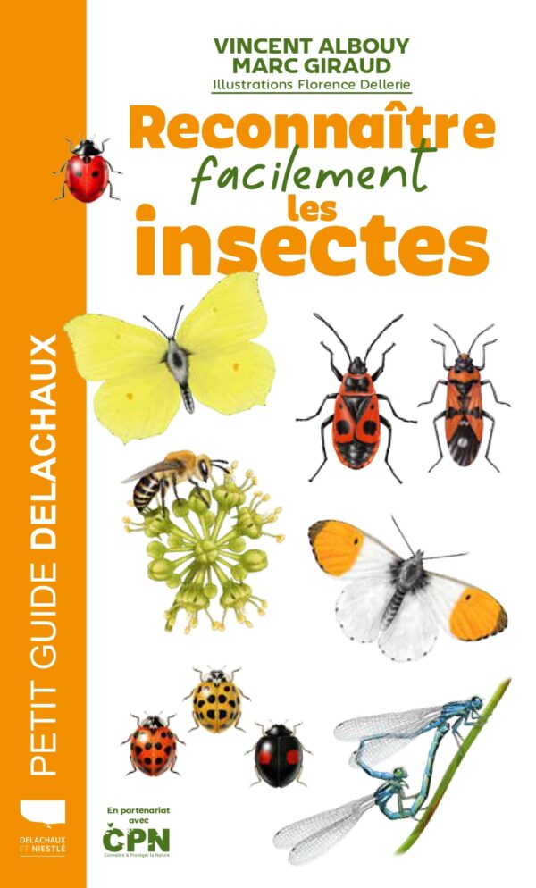 Reconnaître facilement les insectes