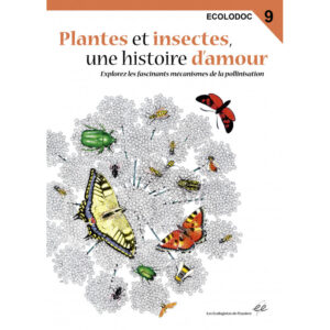 ecolodoc-plantes-et-insectes-une-hsitoire-d-amour