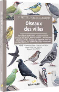 Oiseaux des villes