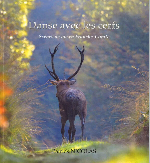 Danse avec les cerfs