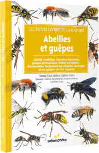 les-petits-livres-de-la-nature-abeilles-et-guêpes_couv
