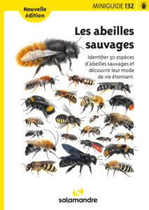 miniguide-132-les-abeilles-sauvages