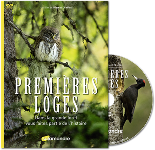 Premières loges dvd