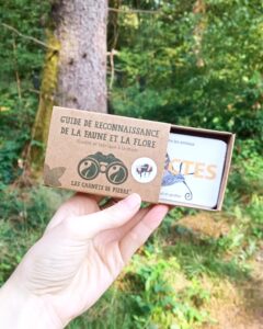 Carnet de reconnaissance des insectes