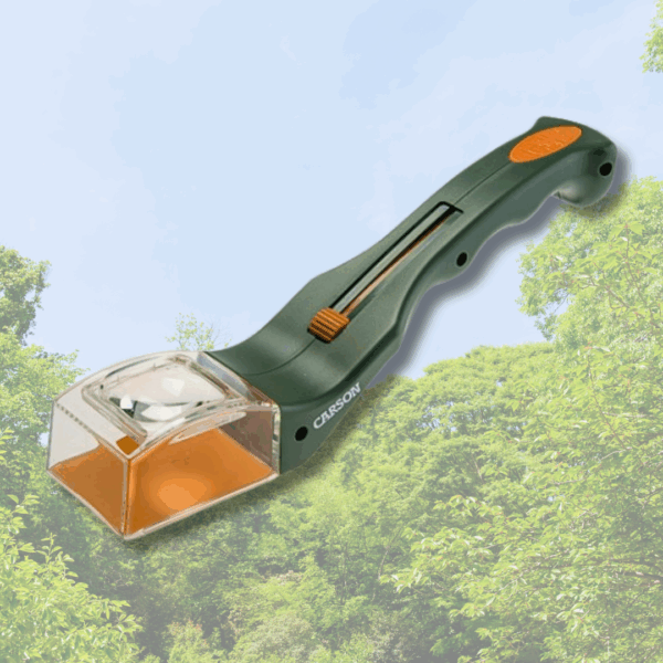 Loupe attrape-insectes