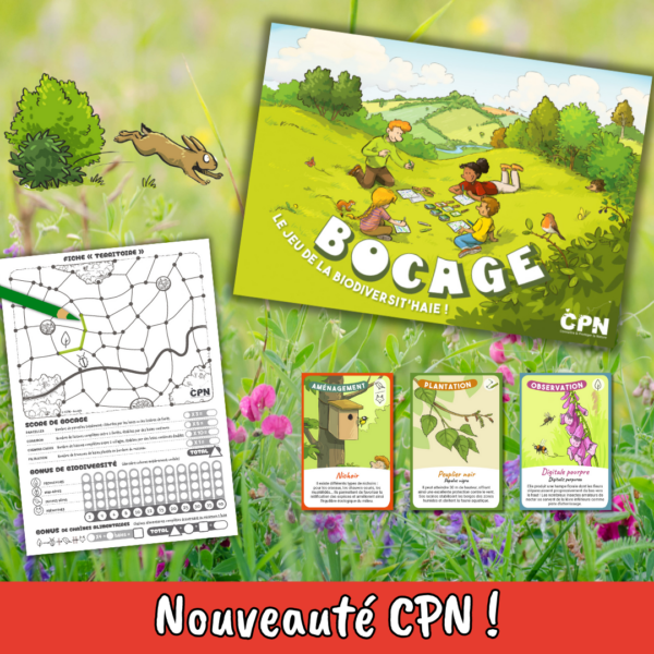 Bocage