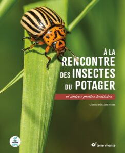 A la rencontre des insectes du potager - DAT55