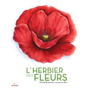 L-herbier-des-fleurs