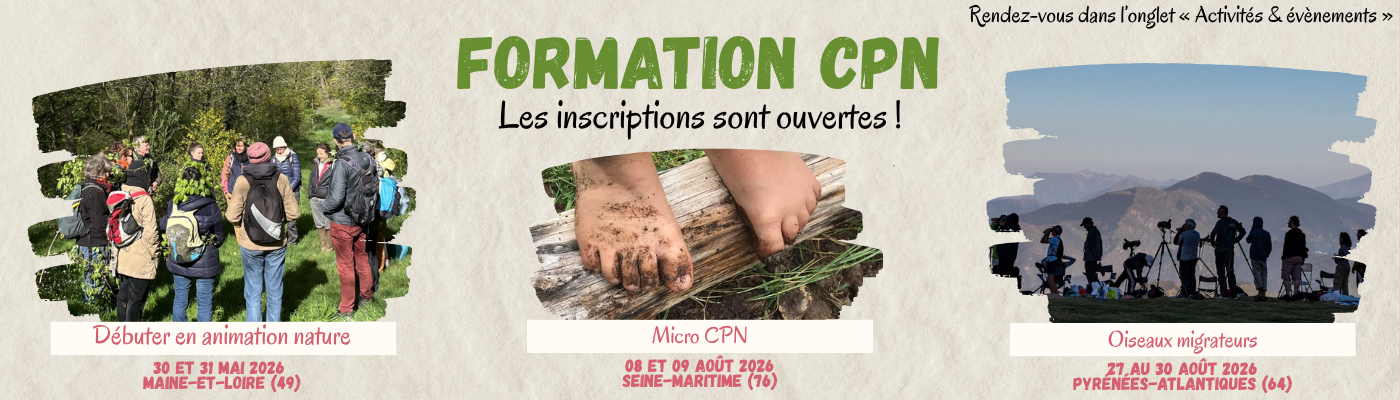 BB Formation CPN