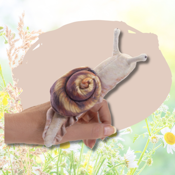 Marionnette escargot
