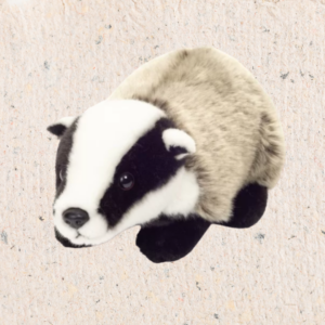 peluche blaireau