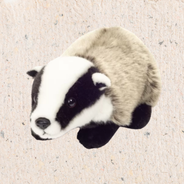 peluche blaireau
