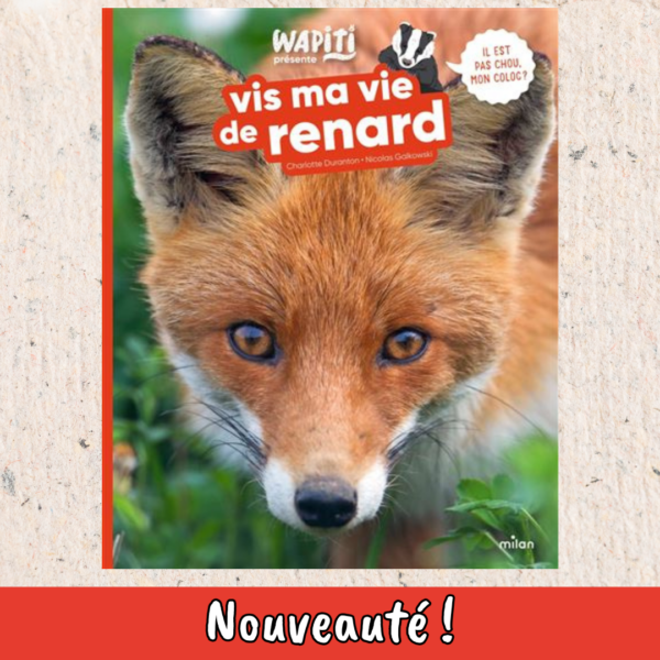 Vis ma vie de renard