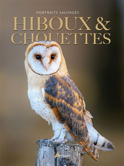 Hiboux-chouettes